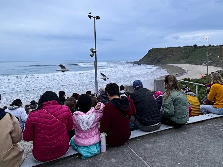 A group of people sitting on a ledge by the beach at dusk, facing the ocean waves with coastal cliffs in the background.