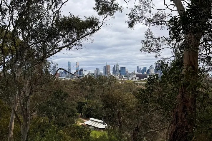 View of Melbourne's skyline framed by trees and cloudy skies.