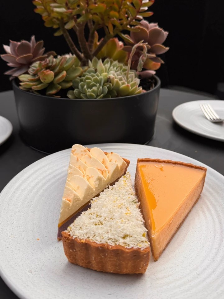 A plate with three slices of different tarts, featuring a citrus tart, a savory tart with flaky white topping, and a creamy tart, with a potted succulent in the background.