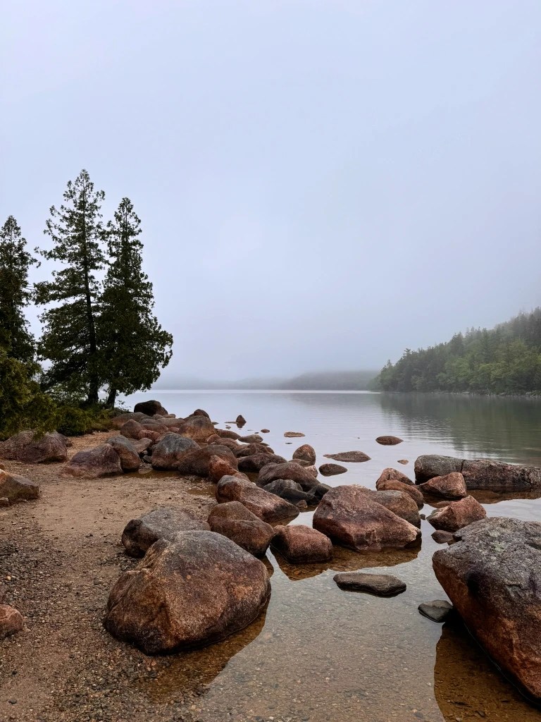 A misty lakeshore scene featuring large, smooth boulders and evergreen trees near the water's edge, surrounded by fog.