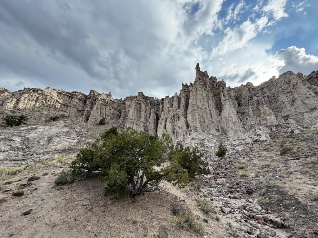 A dramatic view of the layered sandstone cliffs under a cloudy sky, with a small green shrub in the foreground.