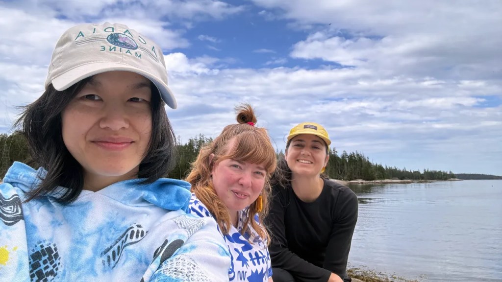 Three friends posing by the coast of Maine, with trees and water in the background, enjoying a sunny day.