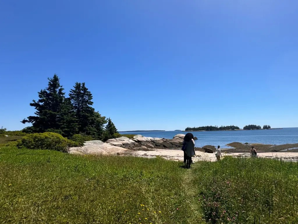 A scenic view of a beach in Maine, featuring a person walking along a grassy path towards the water, surrounded by rocks and trees under a clear blue sky.