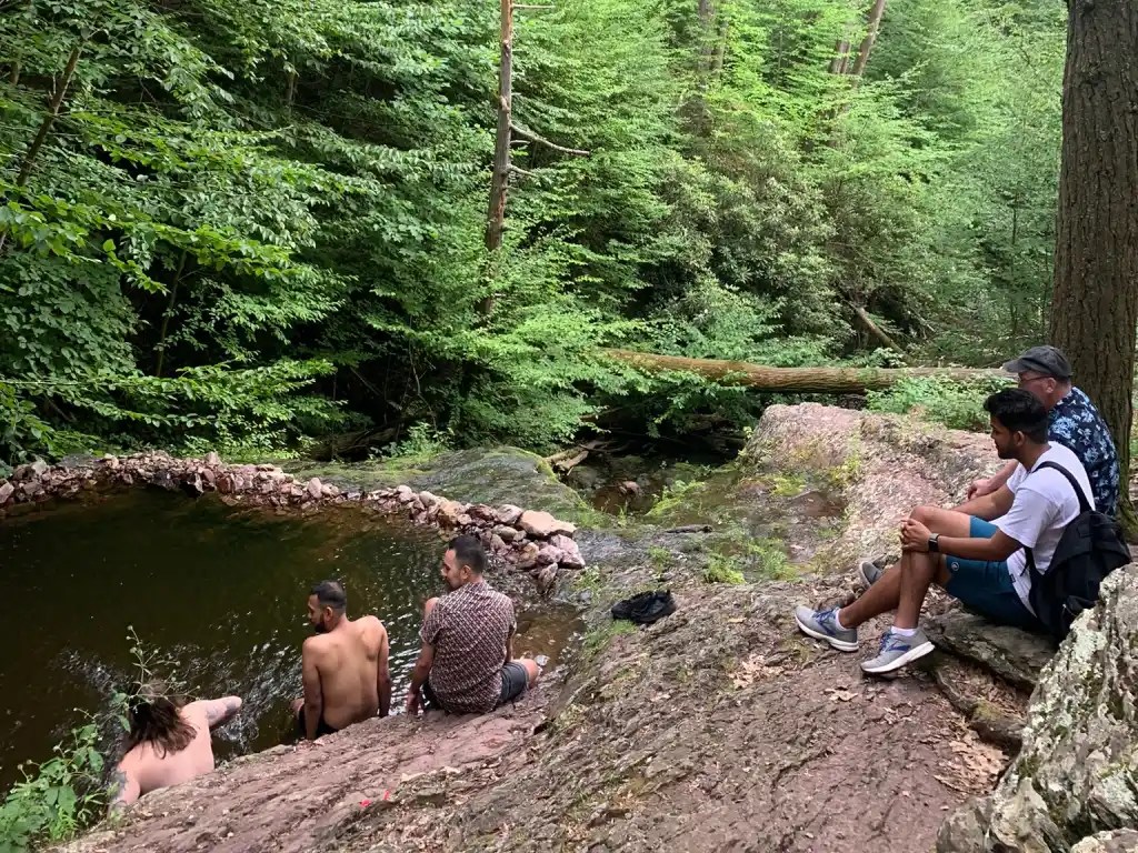 Group of people enjoying a natural swimming hole surrounded by lush green trees in a forest.