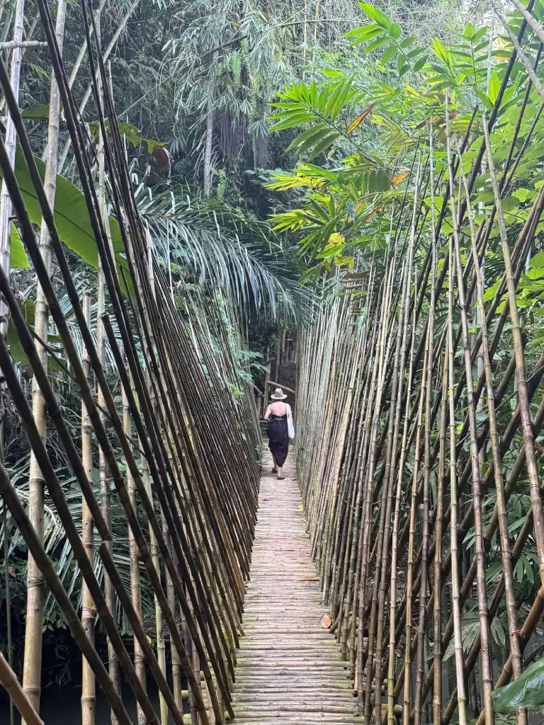A person walking along a bamboo bridge surrounded by lush green tropical foliage in Ubud, Bali.