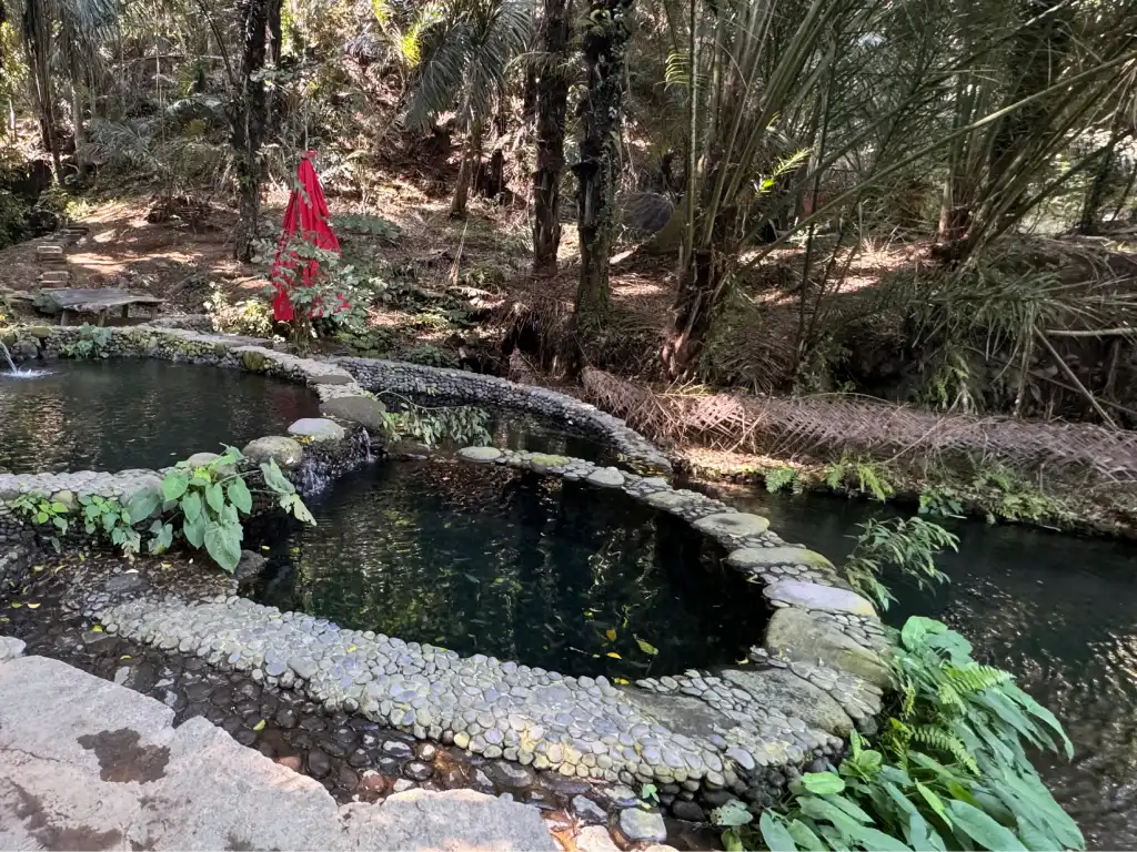 A tranquil natural pool surrounded by lush tropical vegetation and stone pathways, featuring a red decorative cloth hanging nearby.