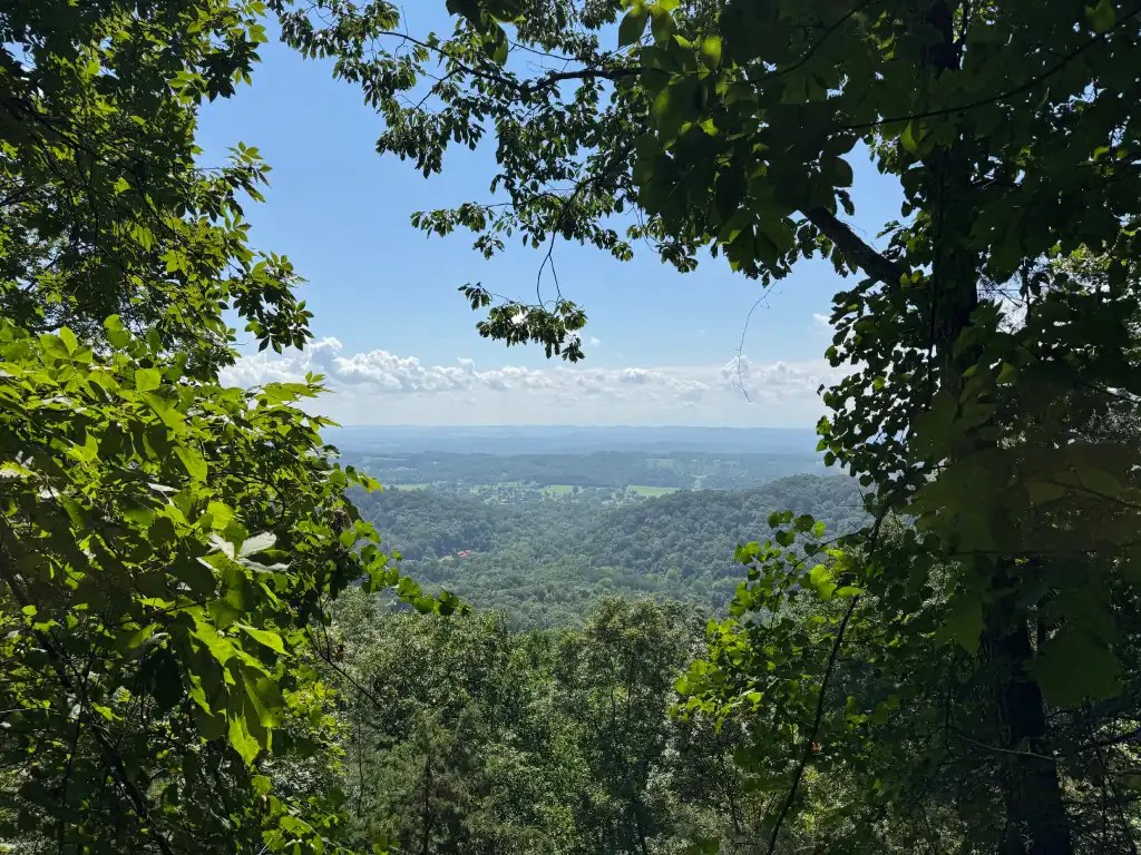 A scenic view from House Mountain in East Tennessee, framed by lush green foliage, showcasing rolling hills and a clear blue sky.