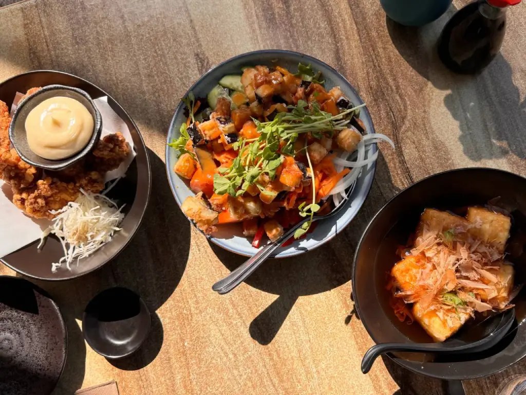 A vibrant meal featuring crispy fried chicken with mayonnaise, a colorful salad with fried eggplant, various vegetables and garnishes, and a bowl of tofu with bonito flakes, presented on a wooden table.