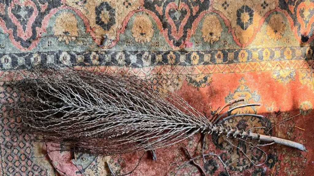 A naturally textured bundle of palm inflorescence displayed on a patterned rug, showcasing earthy tones and intricate designs.