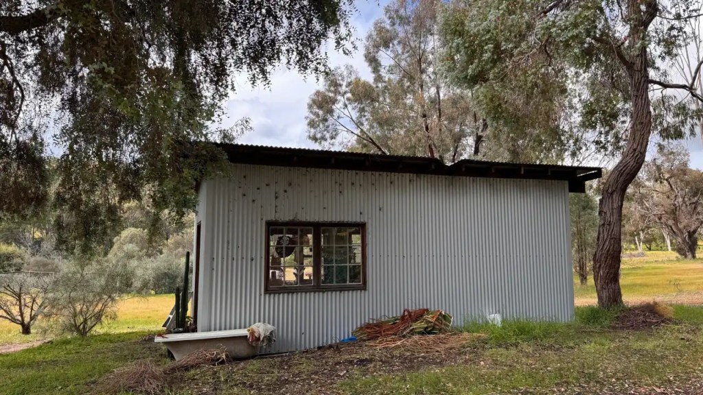 A rustic shed with a corrugated metal exterior, surrounded by trees and green grass, likely serving as a studio or workshop space.