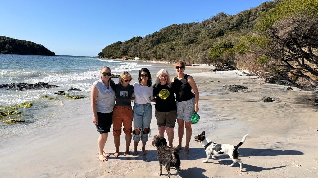 A group of six women standing on a sandy beach, with some dogs in the foreground. The scenery features a calm ocean with gentle waves and lush greenery in the background under a bright blue sky.