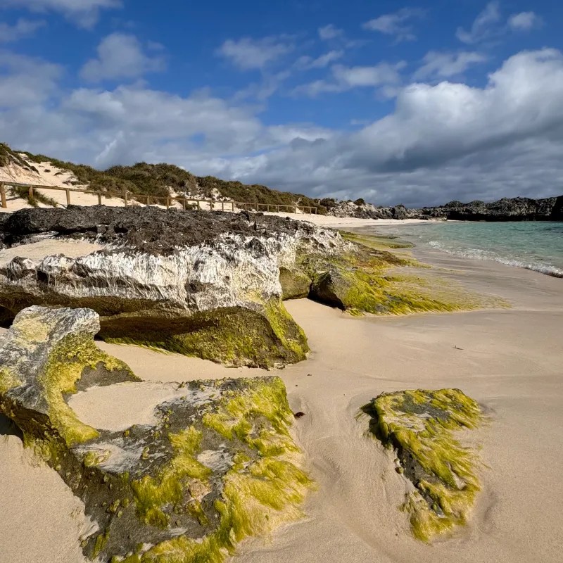 Pinky beach on Rottnest Island featuring patches of green seaweed on rocky formations, golden sand, and a cloudy blue sky.